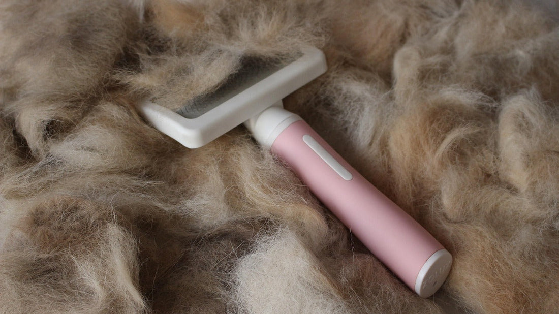 Why Brushing and Shedding Your Pets is Important (Plus Tips & Tricks to Do It Better)