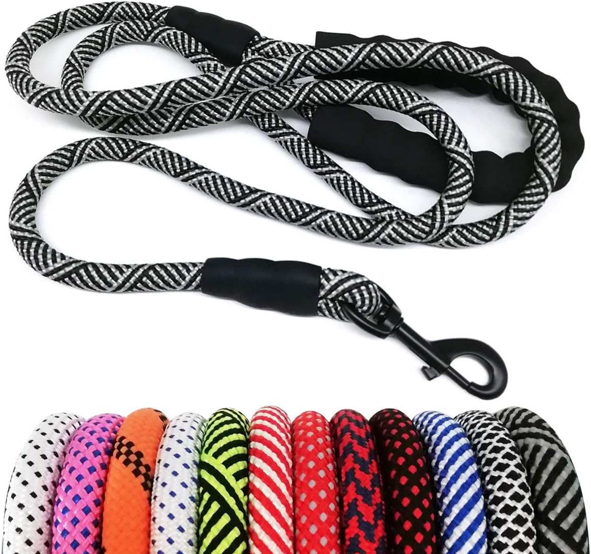 Heavy Duty Rope Dog Leash, 6 FT Nylon Pet Leash, Soft Padded Handle Thick Lead Leashes for Large Medium Dogs (Orange, 1/2" X 6Ft)
