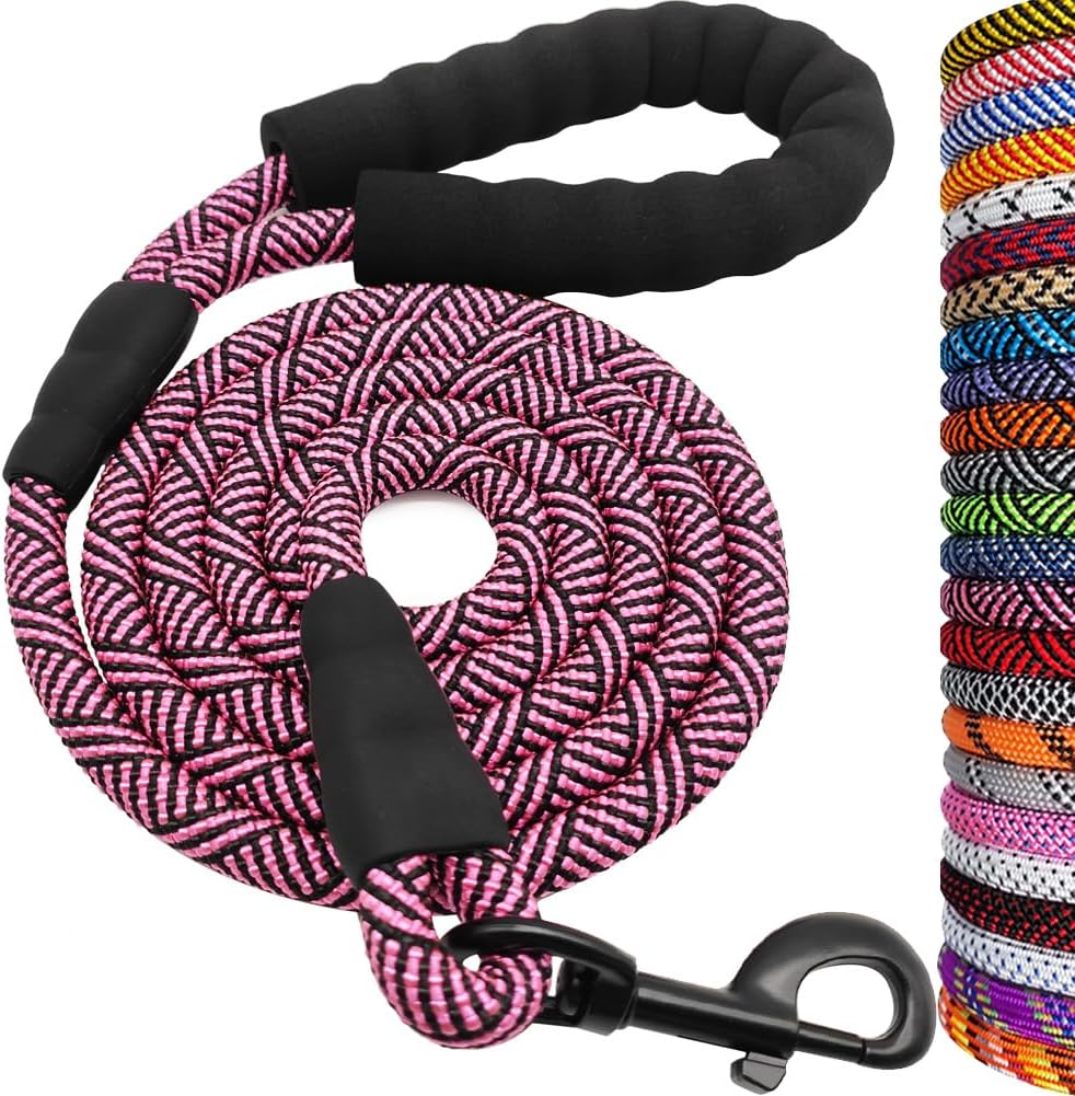 Heavy Duty Rope Dog Leash, 6 FT Nylon Pet Leash, Soft Padded Handle Thick Lead Leashes for Large Medium Dogs (Orange, 1/2" X 6Ft)