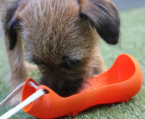 2-in-1 Dog Walk Water Bottle Holder & Travel Bowl
