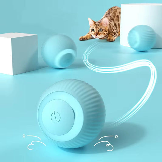 The Best Cat Toys to Keep Your Feline Happy