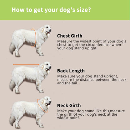 Dog Life Jacket- Preserver with Adjustable Belt, Pet Swimming Shark Jacket for Short Nose Dog (Pug,Bulldog,Poodle,Bull Terrier,Labrador) (Green, Medium)
