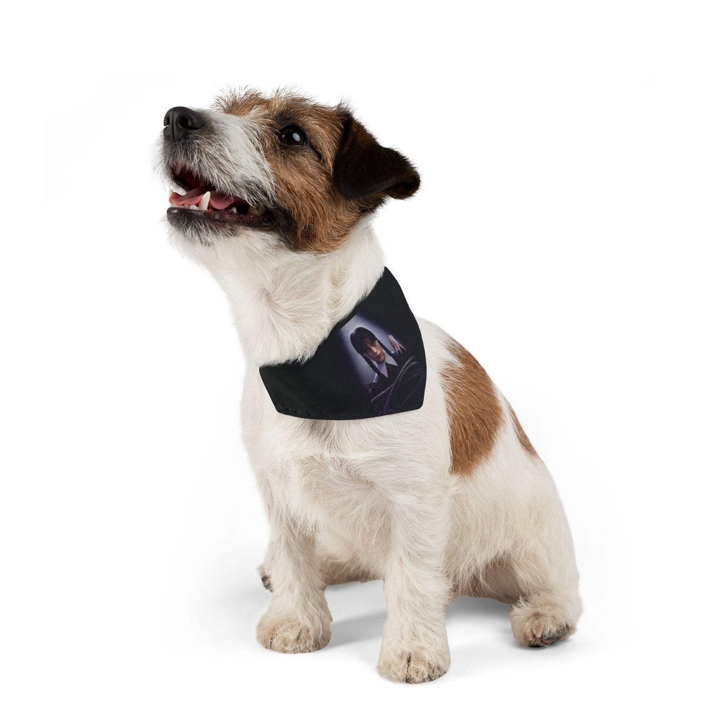 Wednesday Pet Bandana – Spooky, Stylish & Comfortable Accessory for Pets