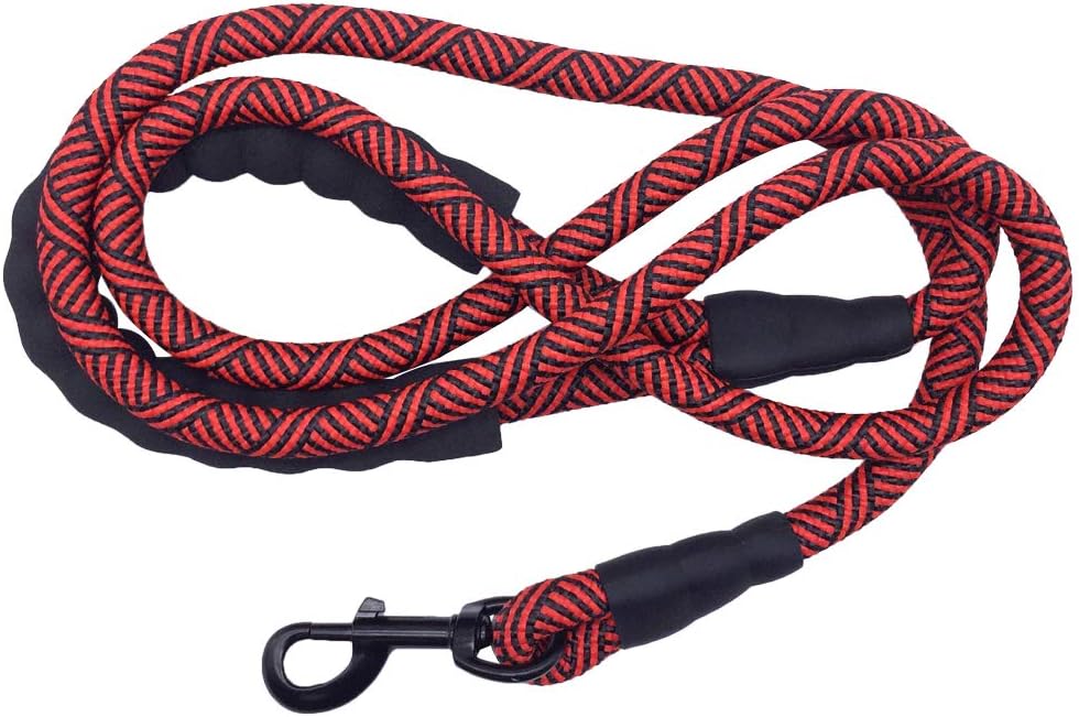 Heavy Duty Rope Dog Leash, 6 FT Nylon Pet Leash, Soft Padded Handle Thick Lead Leashes for Large Medium Dogs (Orange, 1/2" X 6Ft)