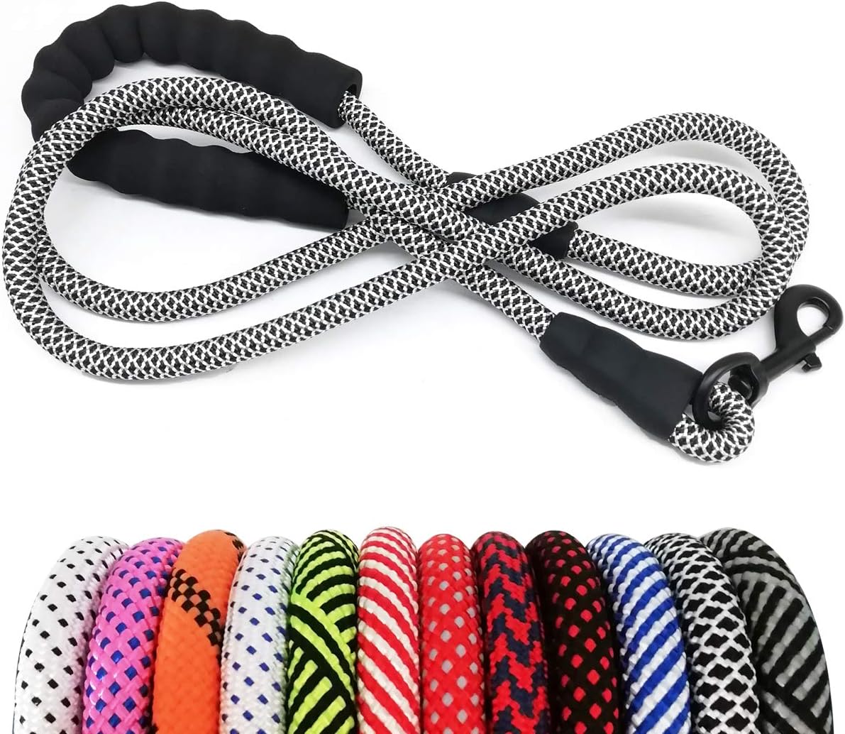 Heavy Duty Rope Dog Leash, 6 FT Nylon Pet Leash, Soft Padded Handle Thick Lead Leashes for Large Medium Dogs (Orange, 1/2" X 6Ft)