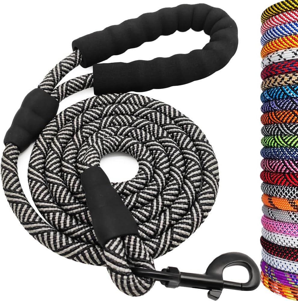 Heavy Duty Rope Dog Leash, 6 FT Nylon Pet Leash, Soft Padded Handle Thick Lead Leashes for Large Medium Dogs (Orange, 1/2" X 6Ft)
