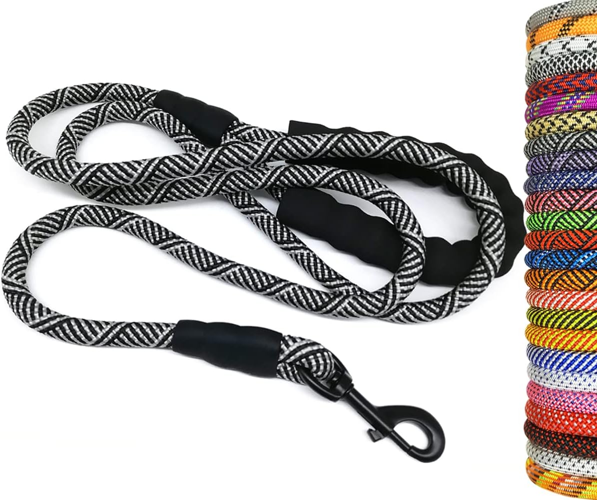 Heavy Duty Rope Dog Leash, 6 FT Nylon Pet Leash, Soft Padded Handle Thick Lead Leashes for Large Medium Dogs (Orange, 1/2" X 6Ft)