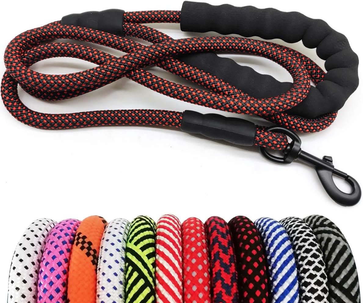 Heavy Duty Rope Dog Leash, 6 FT Nylon Pet Leash, Soft Padded Handle Thick Lead Leashes for Large Medium Dogs (Orange, 1/2" X 6Ft)