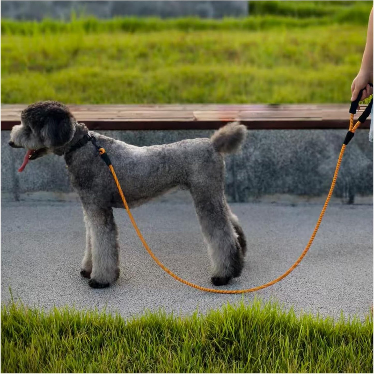 Heavy Duty Rope Dog Leash, 6 FT Nylon Pet Leash, Soft Padded Handle Thick Lead Leashes for Large Medium Dogs (Orange, 1/2" X 6Ft)