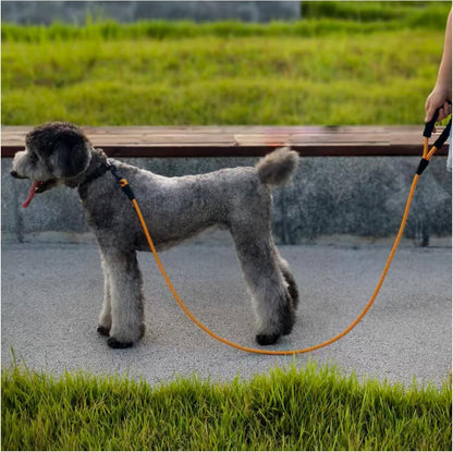 Heavy Duty Rope Dog Leash, 6 FT Nylon Pet Leash, Soft Padded Handle Thick Lead Leashes for Large Medium Dogs (Orange, 1/2" X 6Ft)