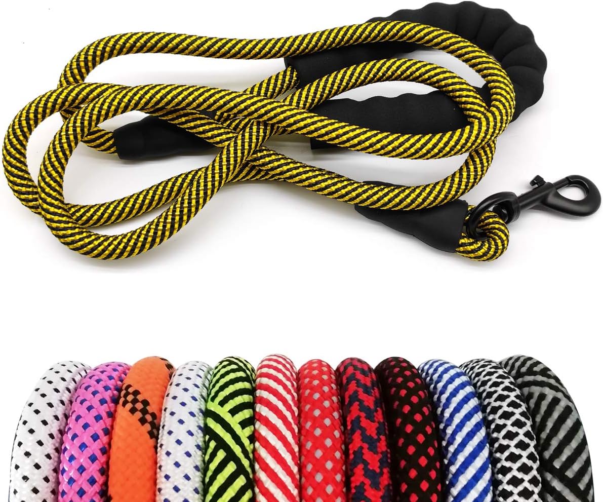 Heavy Duty Rope Dog Leash, 6 FT Nylon Pet Leash, Soft Padded Handle Thick Lead Leashes for Large Medium Dogs (Orange, 1/2" X 6Ft)