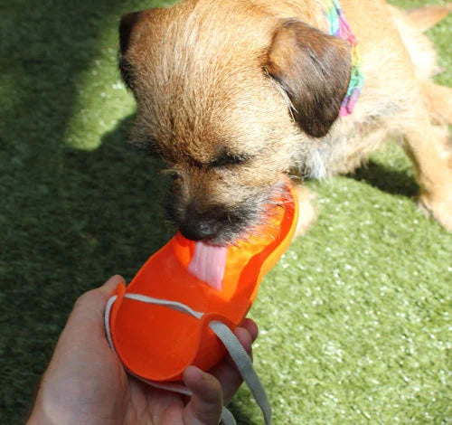 2-in-1 Dog Walk Water Bottle Holder & Travel Bowl