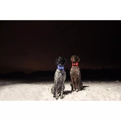LED dog collar 40cm/70cm